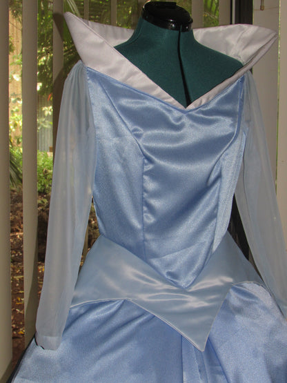 Classic Princess Costume Gown Dress for Teens/Adults