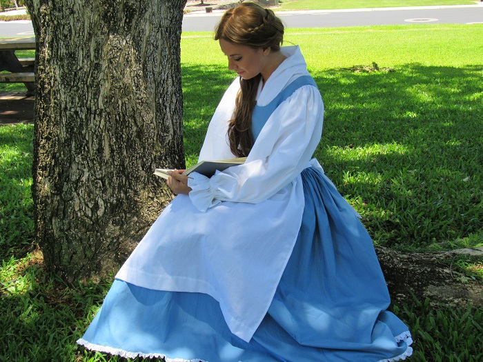 blue provincial dress Beauty's Blue Day Dress
