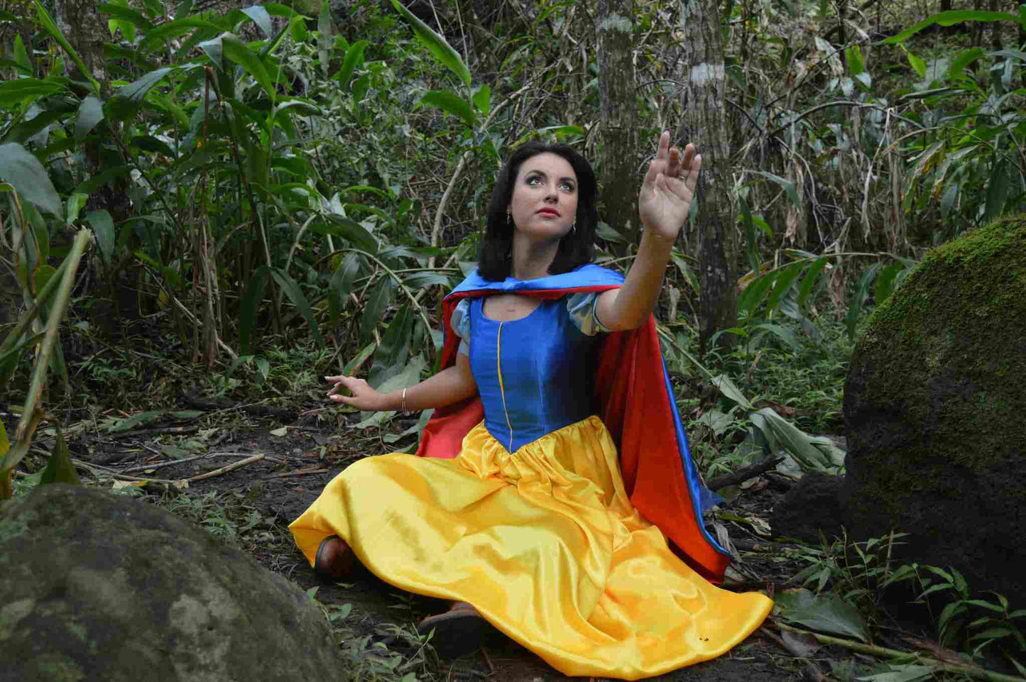 Snow White Princess Cosplay Costume for Teens Adults w/ Sleeve Options